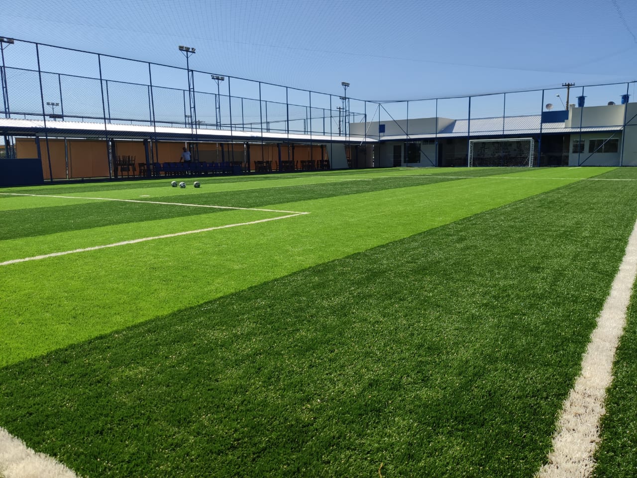 Chinese Artificial Grass Supplier
