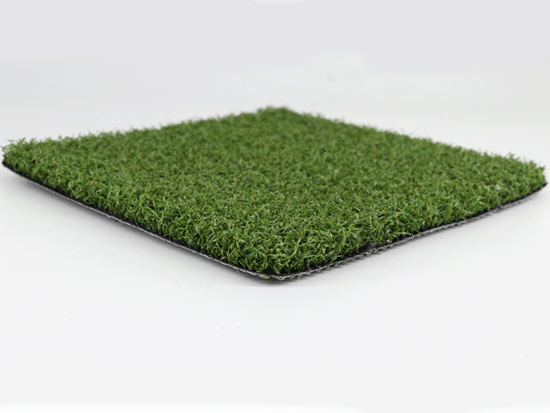 golf putting green turf