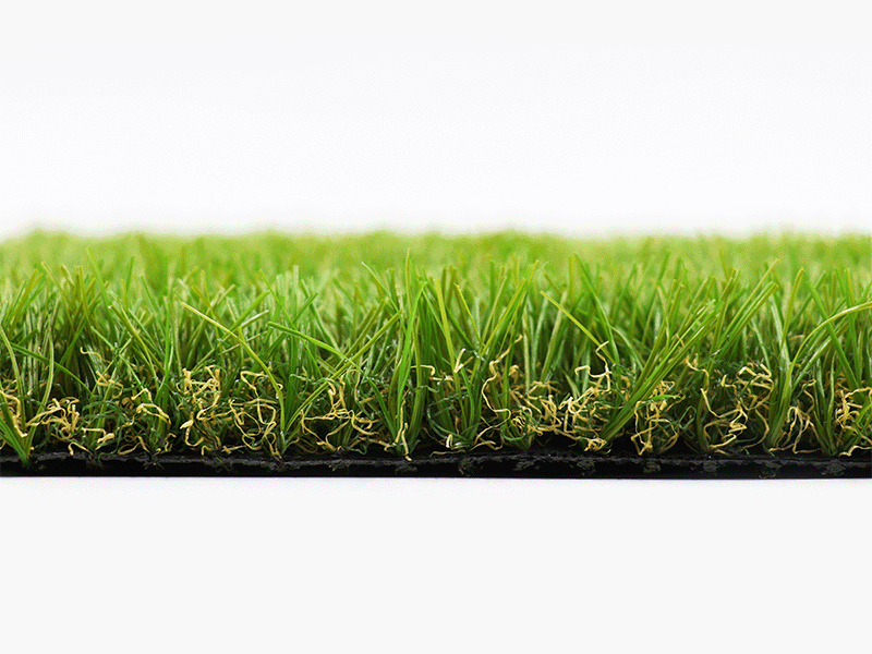 backyard and front yard turf